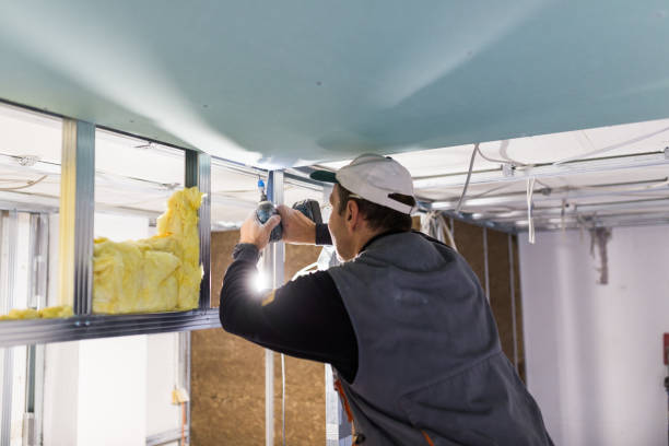 Best Commercial Insulation in College Park, MD