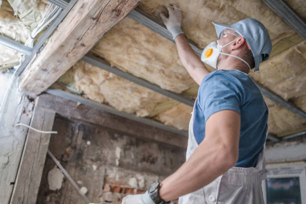 Best Insulation for Specific Applications in College Park, MD