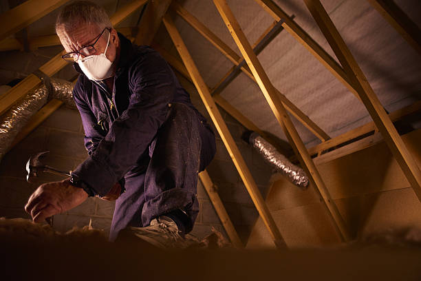 Types of Insulation We Offer in College Park, MD