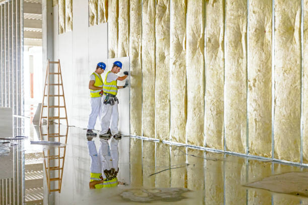 Best Eco-Friendly Insulation in College Park, MD